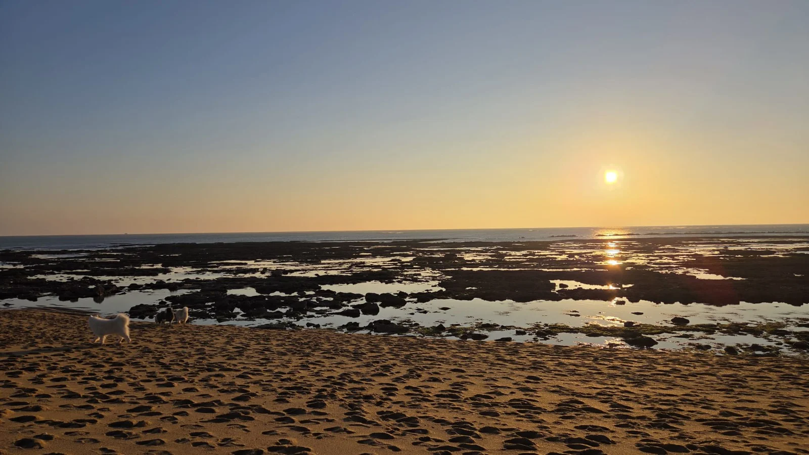 La Plage Oleron
